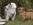 Höhne, Dahnsdorf, vom Planetal, Norwich-Terrier